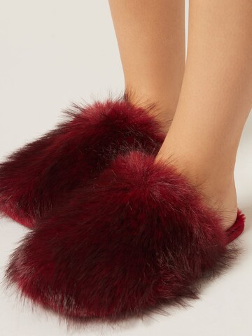 CALZEDONIA Hausschuh in Rot
