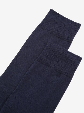 Albert Schäfer Socken (GOTS) in Blau