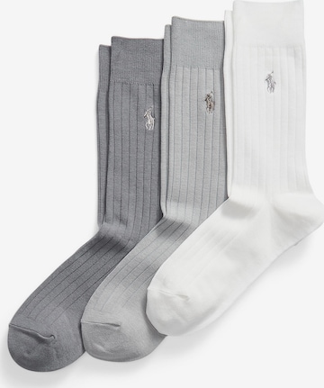 pilka Polo Ralph Lauren Kojinės 'EGYPTIAN': priekis