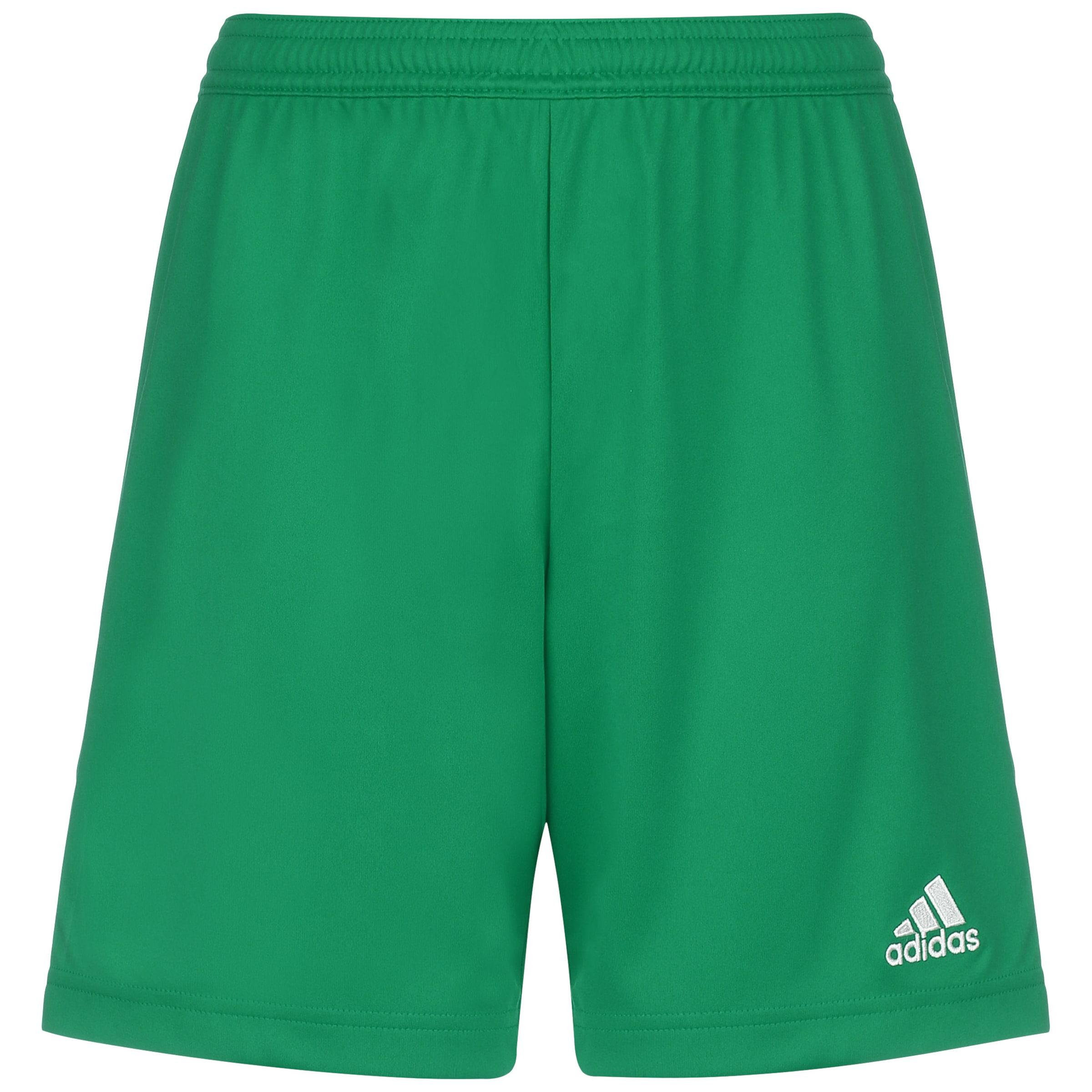 Pantalon de sport 'Entrada 22' ADIDAS PERFORMANCE en vert : devant