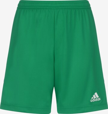 ADIDAS SPORTSWEAR Regular Workout Pants 'Entrada 22' in Green