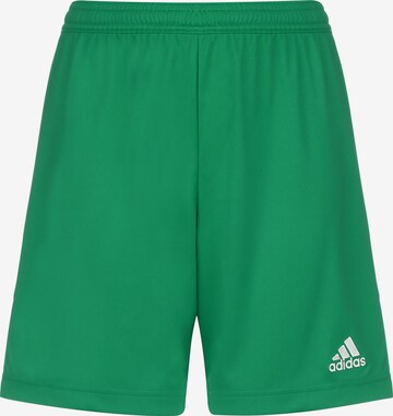 regular Pantaloni sportivi 'Entrada 22' di ADIDAS SPORTSWEAR in verde