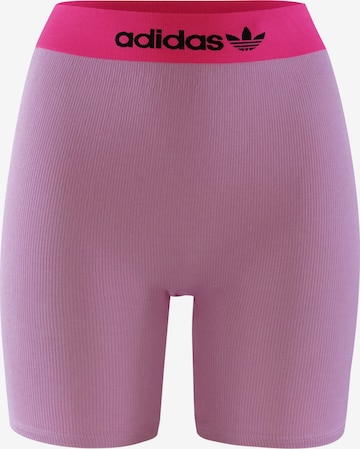 ADIDAS ORIGINALS Retro Pants ' Short Logo Rib ' in Pink: predná strana