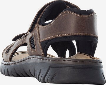 Rieker Hiking Sandals in Brown