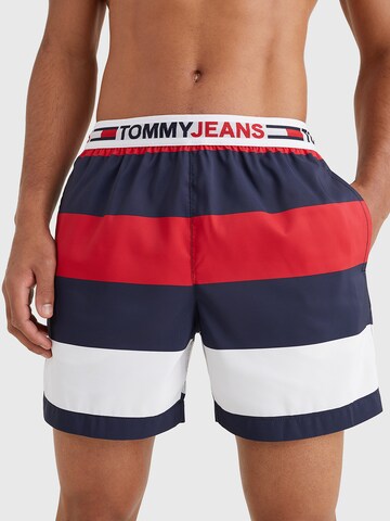 Tommy Hilfiger Underwear Ujumispüksid, värv segavärvid