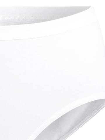 SPEIDEL Slip 'Everyday'‌‌‌‌‌‌‌‌‌ in Braun