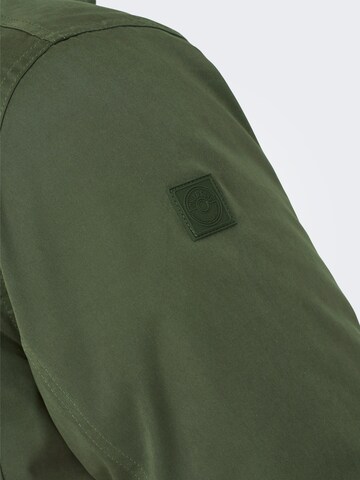 Only & Sons Winter Jacket 'CEDRIC' in Green