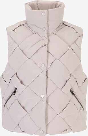 BLONDE No. 8 Vest 'Katja' in Grey: front