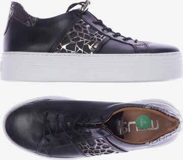 MJUS Sneakers & Trainers in 37 in Black: front