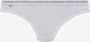 String LACOSTE en gris : devant