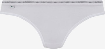 LACOSTE Thong in Grey: front