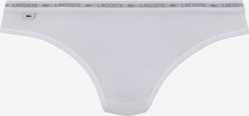 String di LACOSTE in grigio: frontale