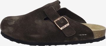 JOSEF SEIBEL Pantolette 'Josef 04' in Braun: Vorderseite
