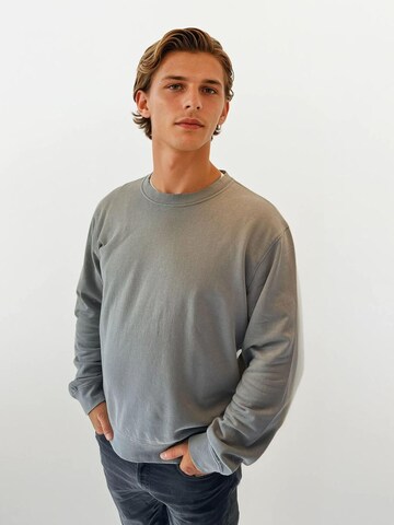 A Question Of (AQO) Sweatshirt 'Johannes' i grå