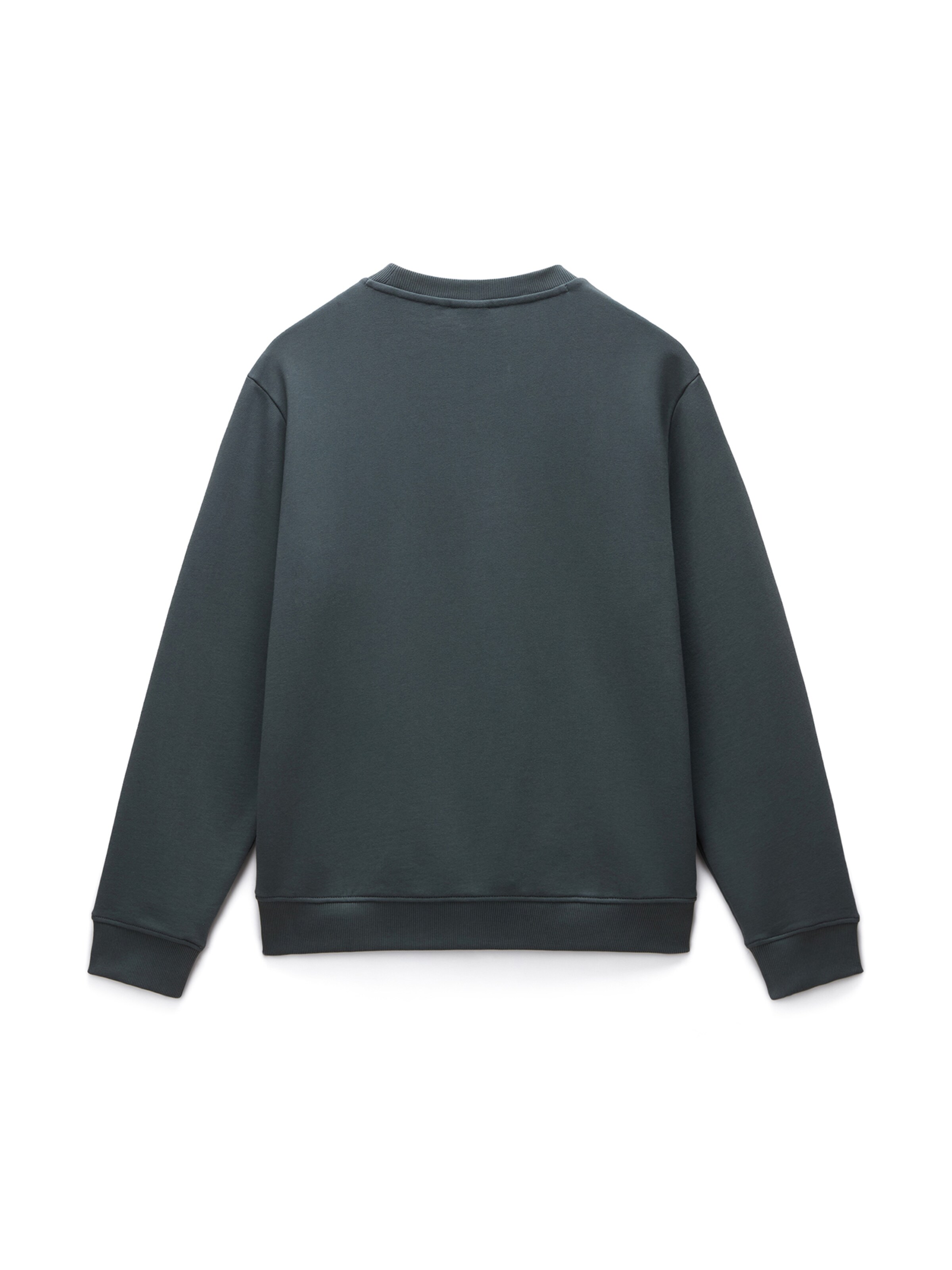 Bluză de molton 'BALIS' de la NAPAPIJRI pe verde