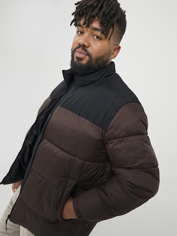 Jack & Jones Plus Winter Jacket in Brown