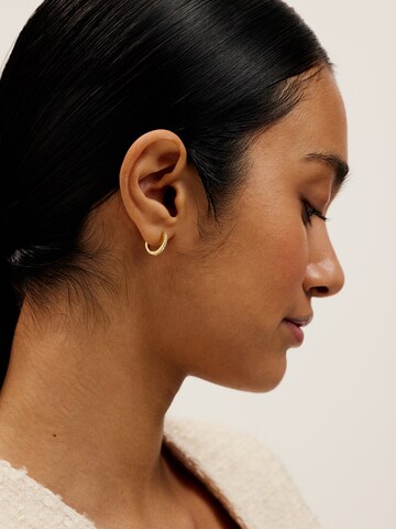 Ted Baker - Pendientes en oro