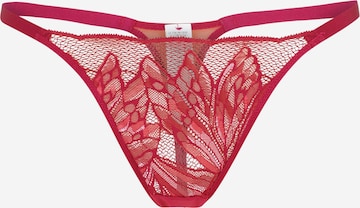 TRIUMPH String bugyik 'Crazy Stupid Love' - rózsaszín: elől