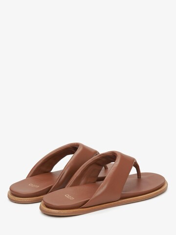 Estro - Sandalias de dedo '556017' en marrón