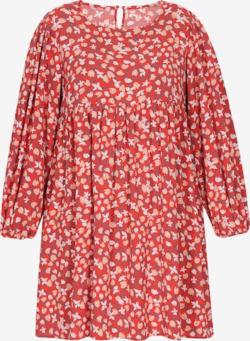 raudona Usha Suknelė: priekis