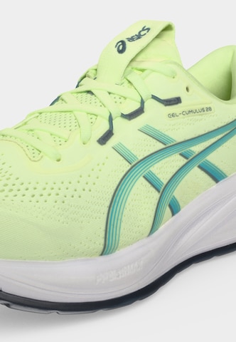 Chaussure de course 'GEL-CUMULUS 28' ASICS en vert