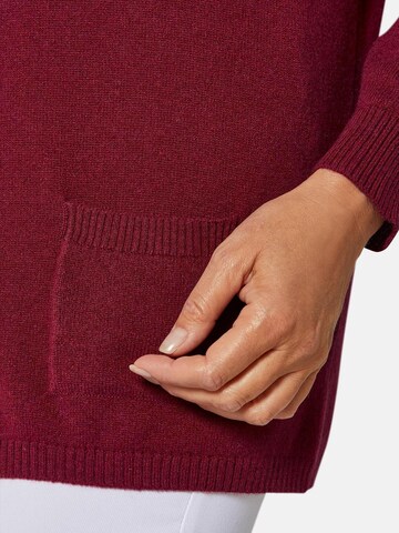 Goldner Sweater in Red