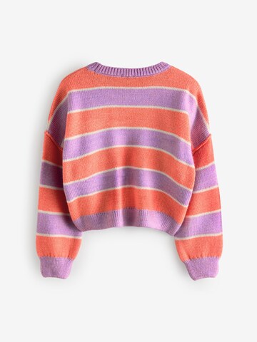Next Sweater in Purple