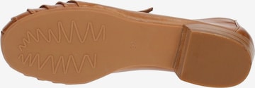 Everybody Ballet Flats with Strap in Brown
