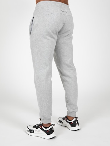 Loosefit Pantaloni sportivi 'Leon' di Gorilla Wear in grigio