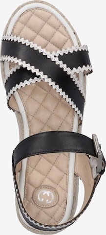 GERRY WEBER Strap Sandals 'Bari 01' in Black