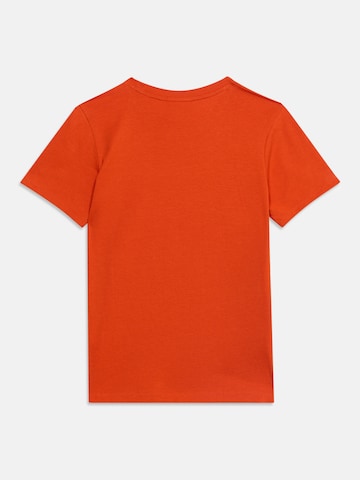 T-Shirt Champion Authentic Athletic Apparel en orange