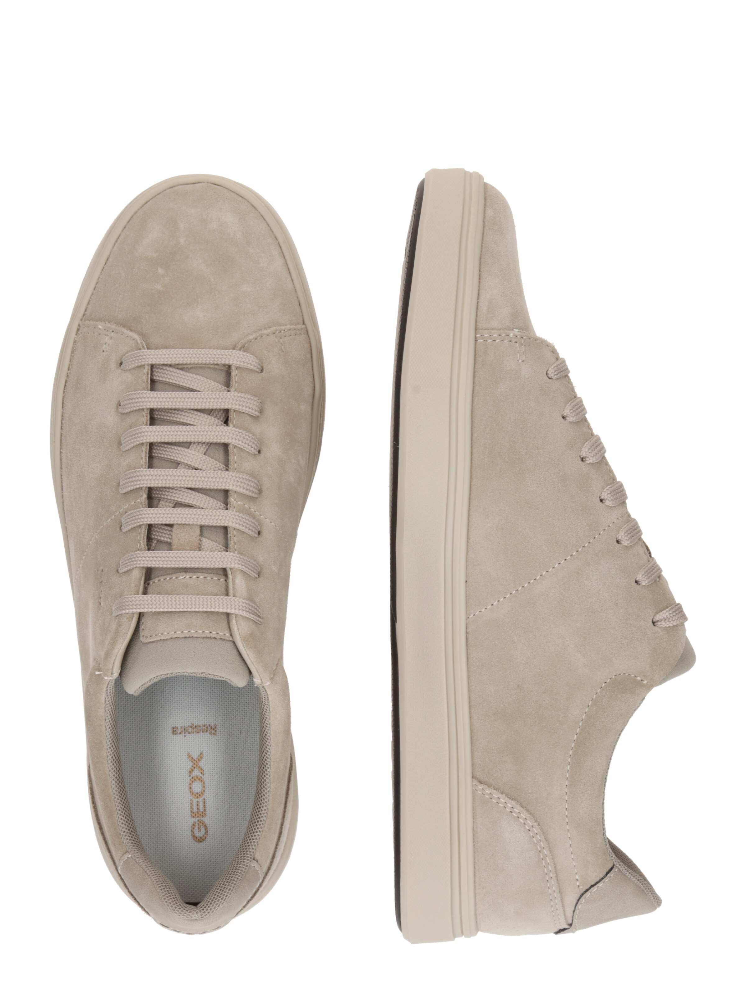 Baskets basses 'U Baltmoore A' GEOX en beige