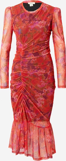 Oasis Sukienka w kolorze oliwkowy / różowy / burgund / ognistoczerwonym, Podgląd produktu