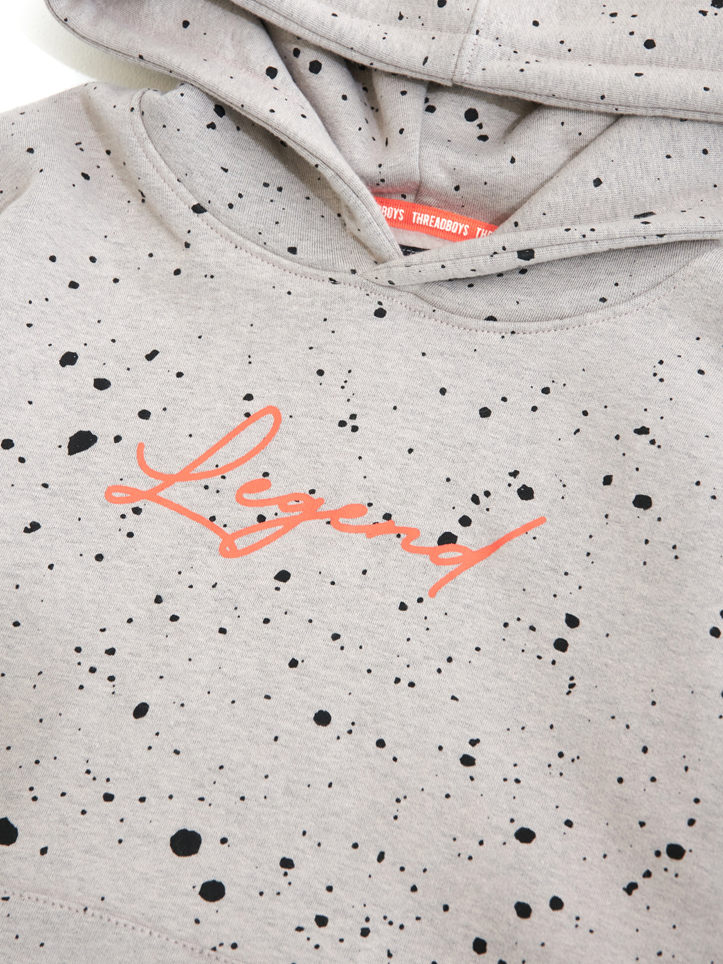 Threadboys Sweatshirt 'Minnesota' in Grey