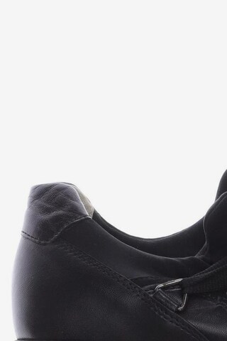 GABOR Sneakers & Trainers in 38 in Black