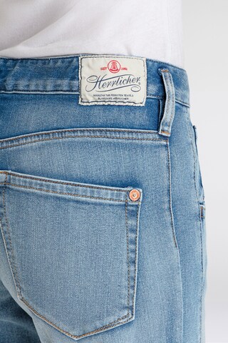 Herrlicher Regular Jeans in Blue