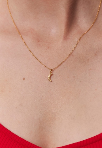 Chaîne 'Lunar Eclipse' Stilnest en or