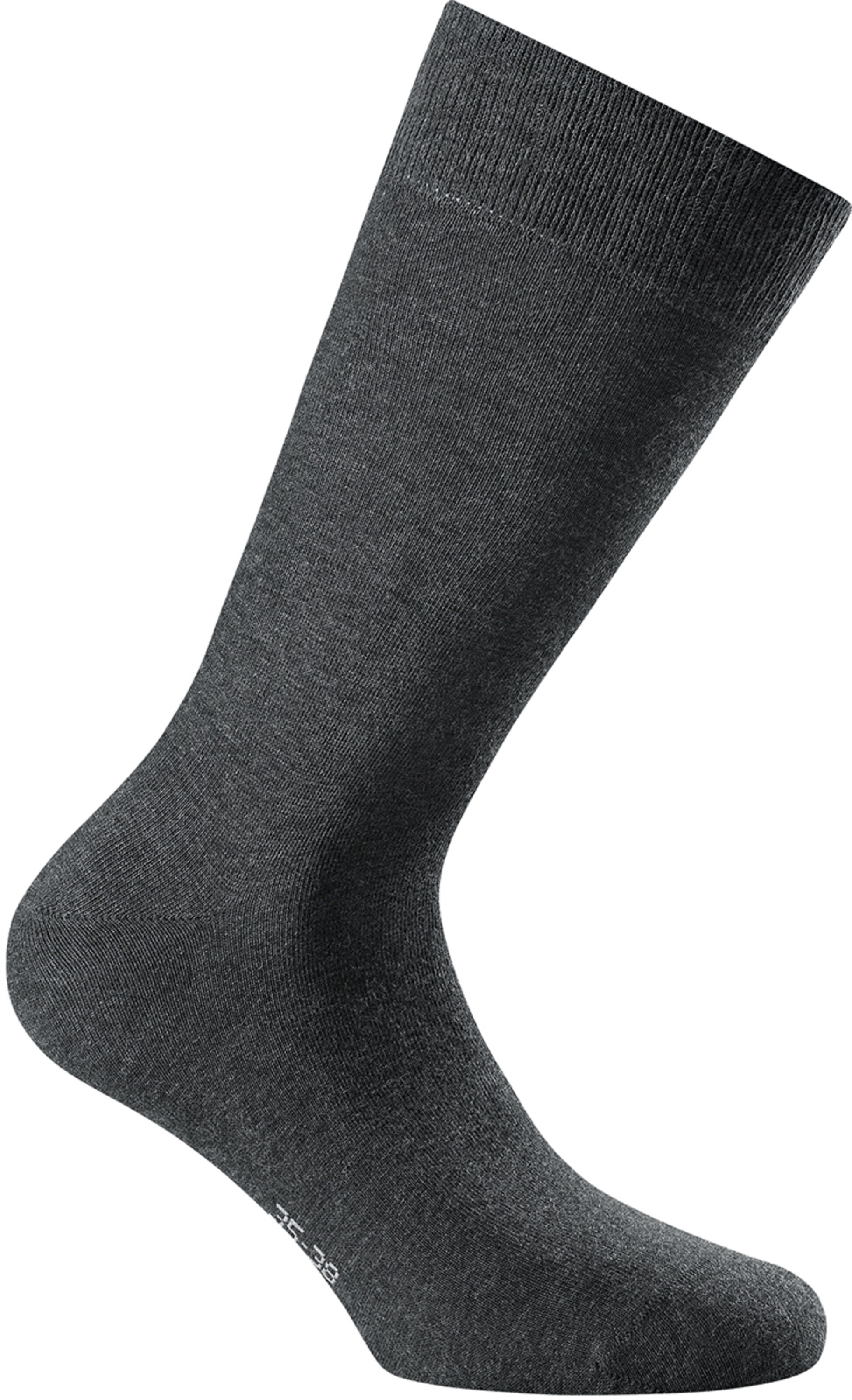 Rohner Socks Socks in Grey