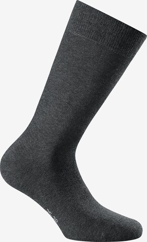 Rohner Socks Sokken in Grijs