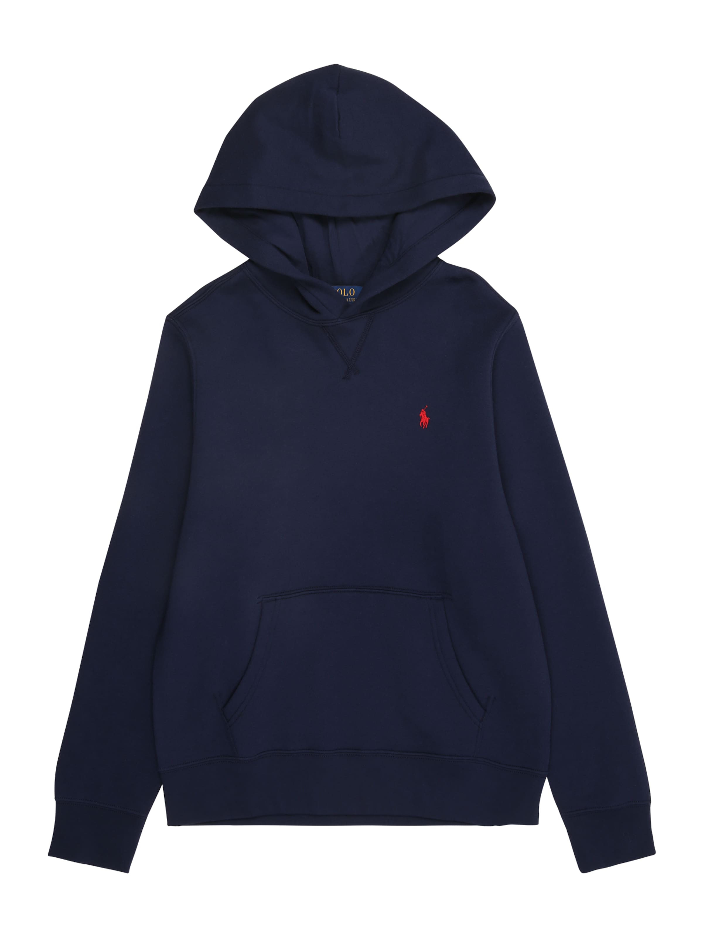 Polo Ralph Lauren Sweatshirt i blå: framsida