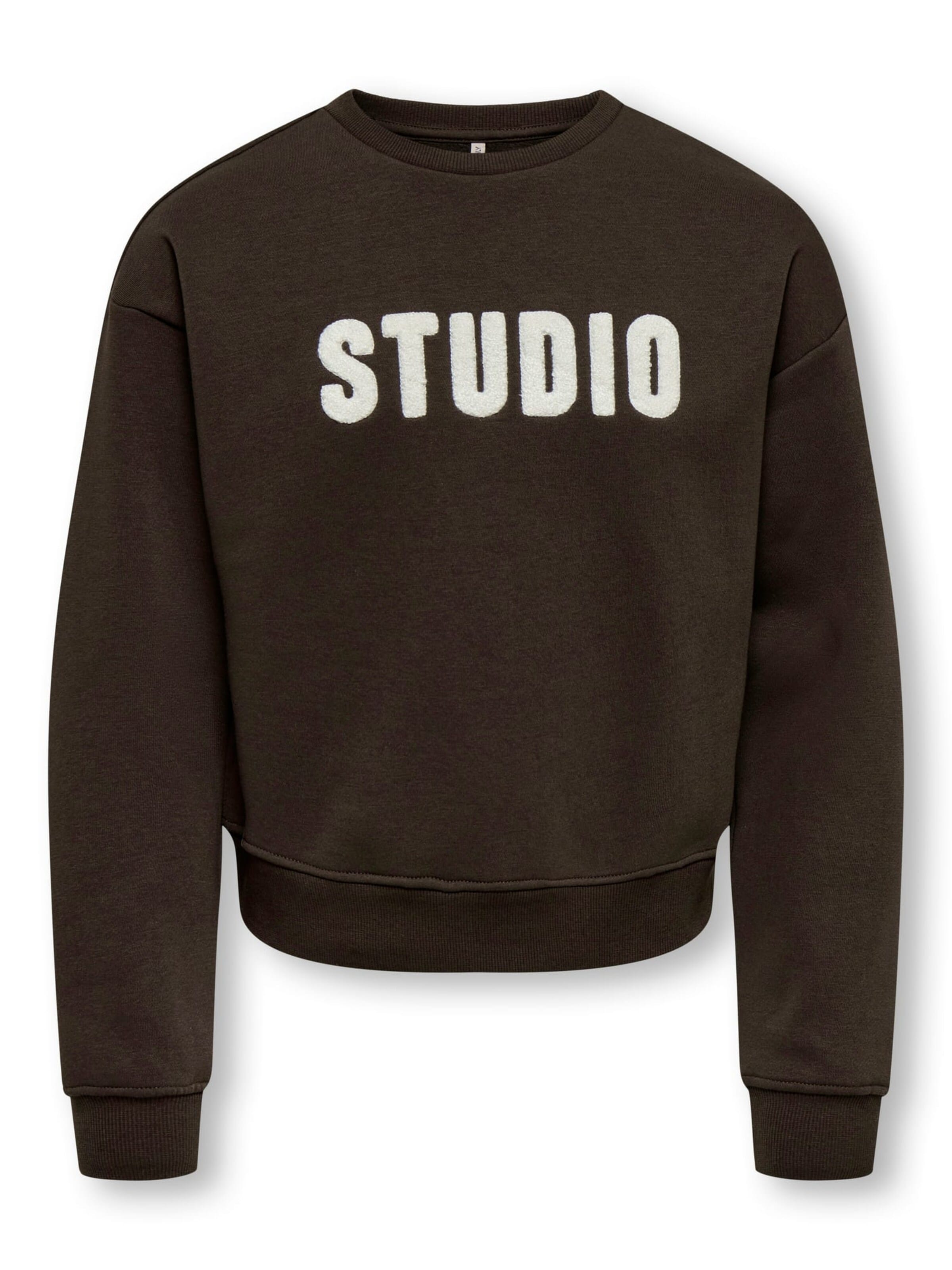 ONLY Sweatshirt 'Sweat' in Brown: front