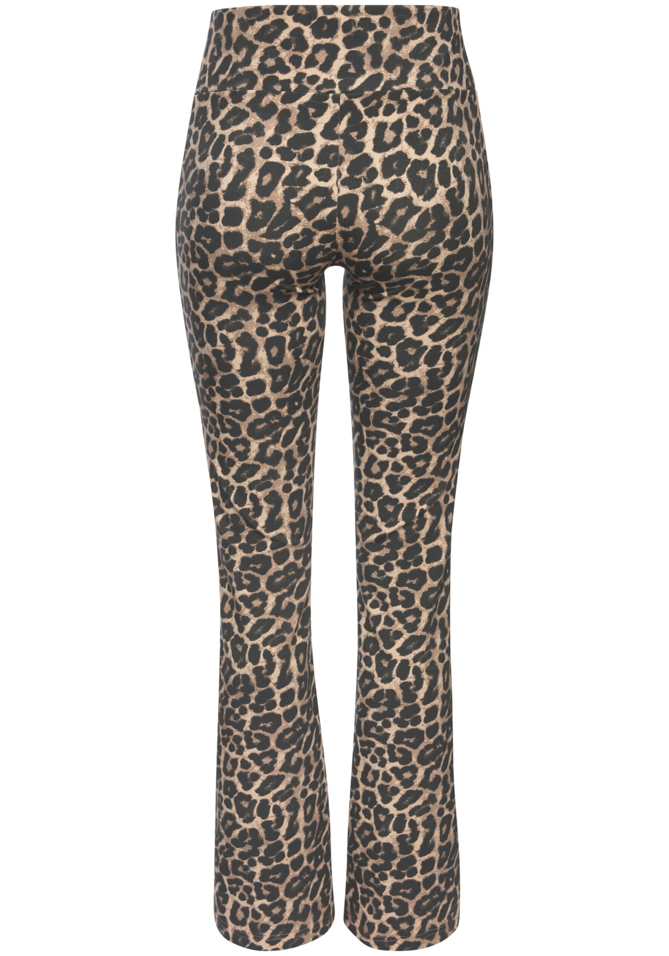 BUFFALO Bootcut Leggings in Braun