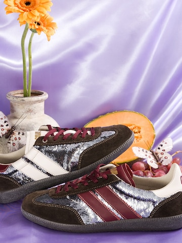 Caval Platform trainers 'Pulse' in Brown
