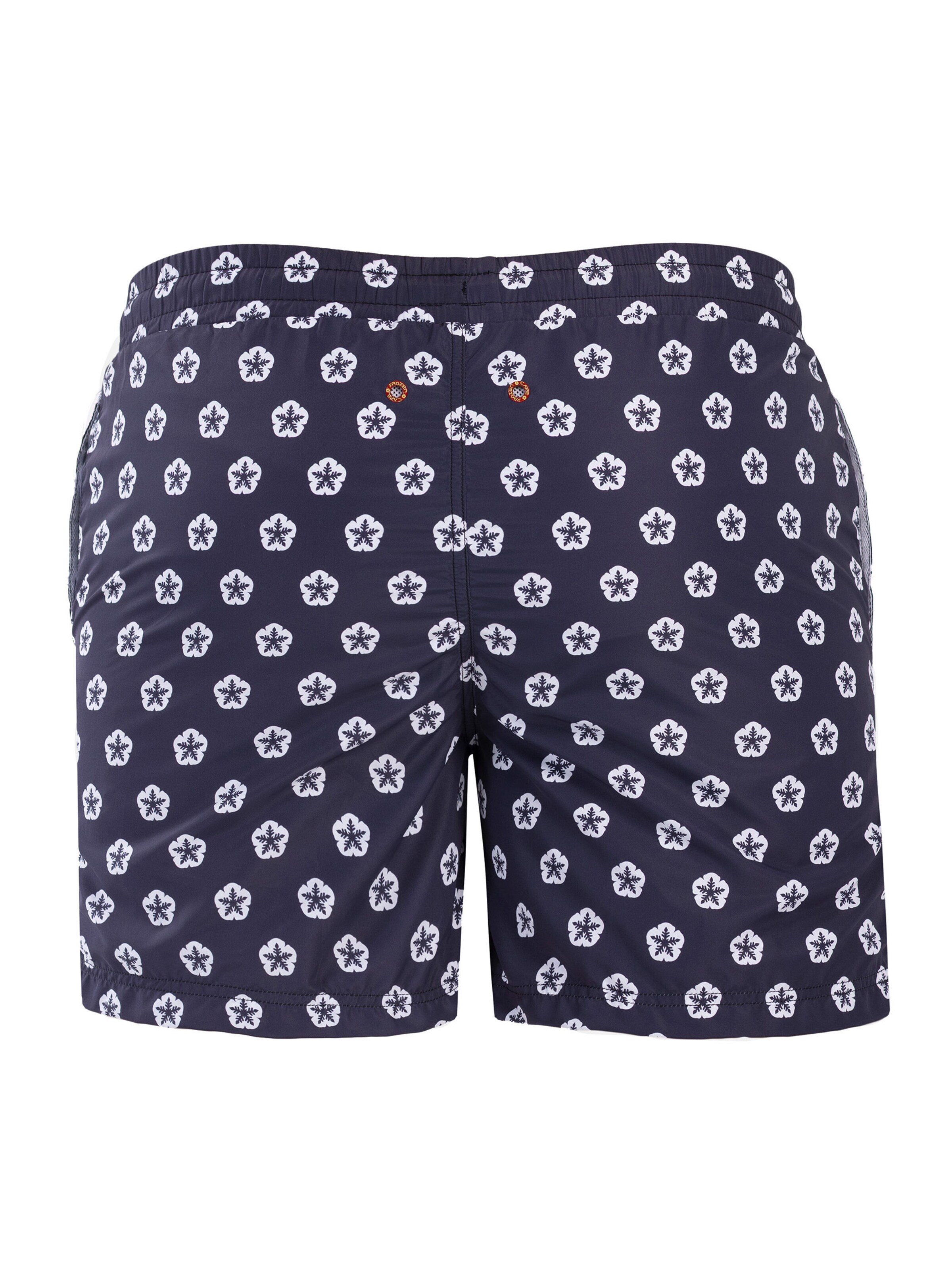 Frozen Cape Swimming Trunks in Grey