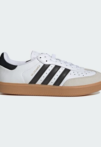 ADIDAS PERFORMANCE Sportschoen 'Velosamba' in Wit
