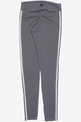 ADIDAS PERFORMANCE Pants in S in Grey
