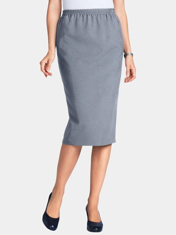 Goldner Skirt in Grey: front