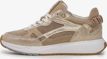 Floris van Bommel Sneakers laag 'Suvi 04' in Goud: voorkant
