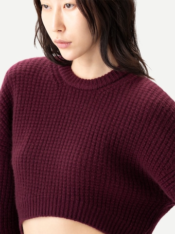 GOBI Cashmere Pullover 'Oval'‌‌‌ in Rot