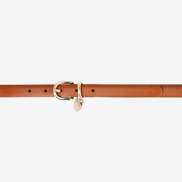 JOOP! Belt in Brown